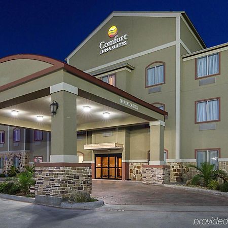 Comfort Inn & Suites Monahans I-20 Exterior foto